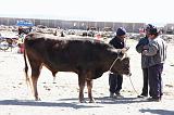 PERU - Mercado de los toros - 03